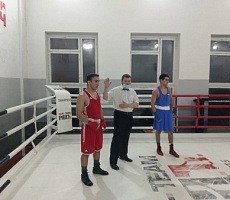 Московские областные соревнования по боксу